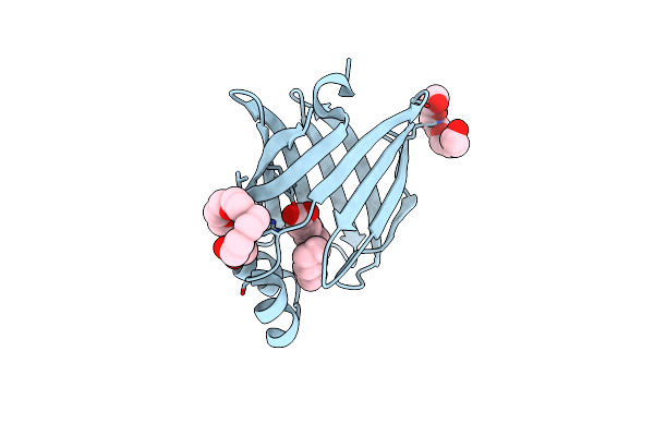 7WPW image