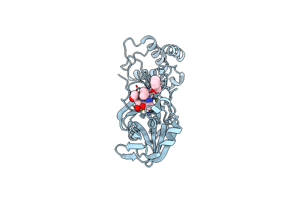 7WQA image