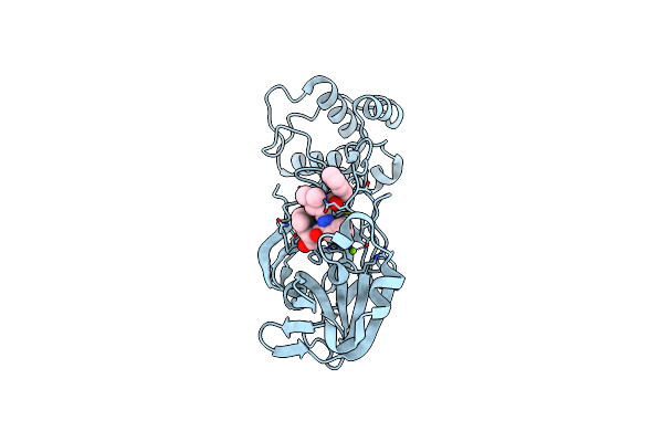7WQB image