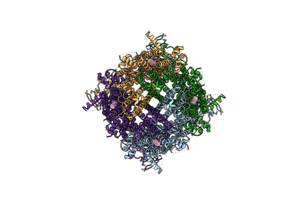 7WRE image