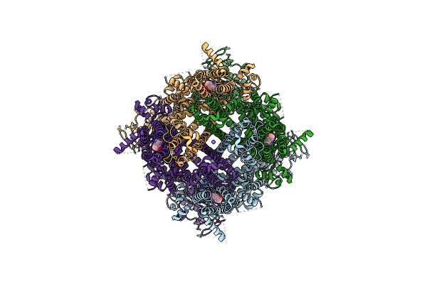 7WRF image