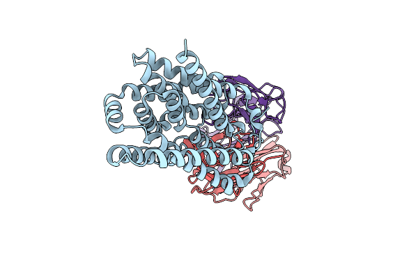 7WSI image