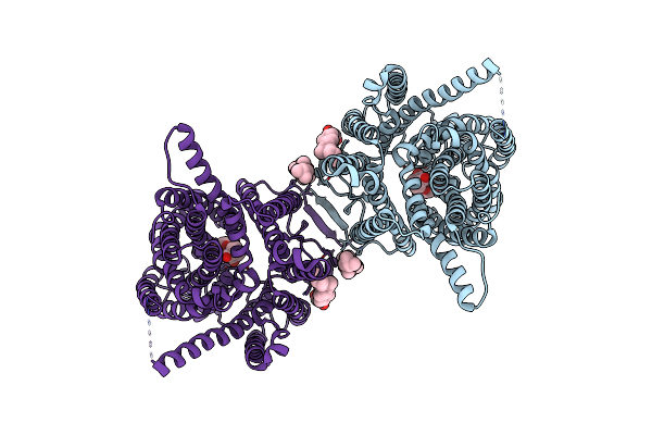 7WST image