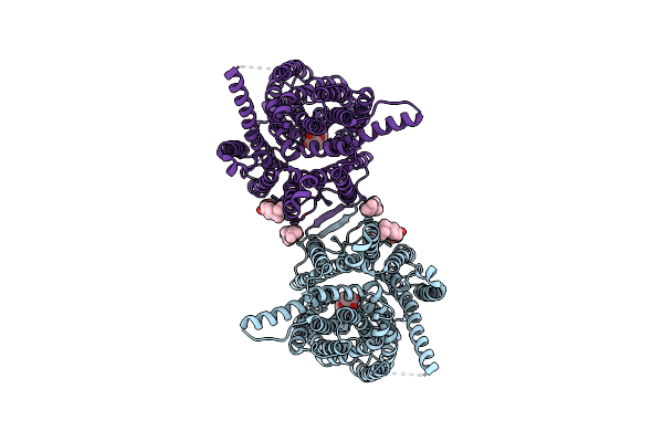 7WSU image