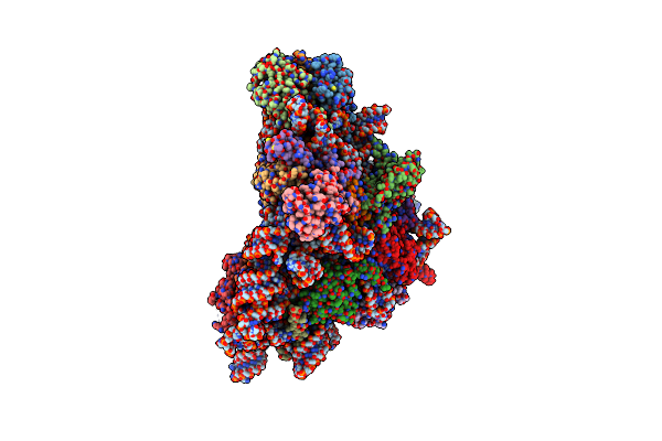 7WTP image