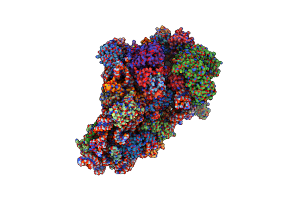7WTX image