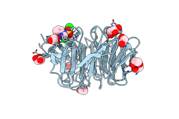 7WVK image
