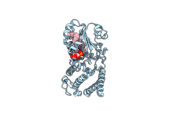 7WVT image