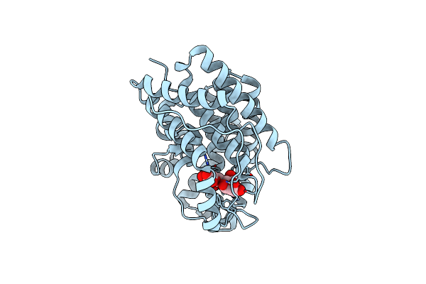 7WXP image