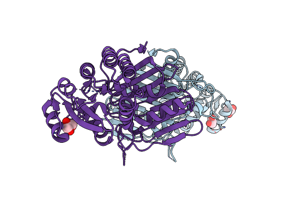 7WZD image