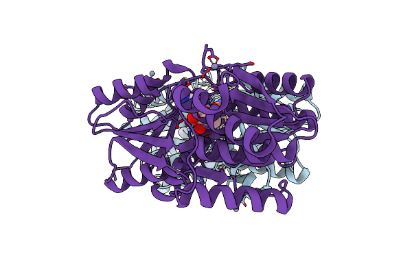 7X0R image