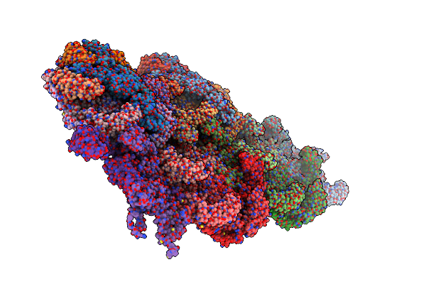7X30 image