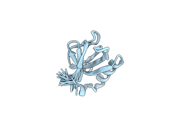 7X31 image
