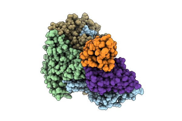 7X42 image