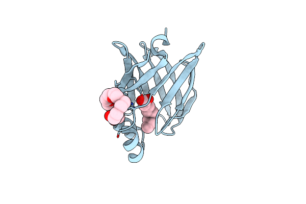 7X48 image