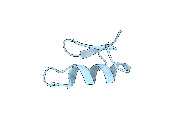 7X4D image