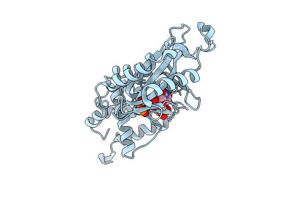 7X4P image