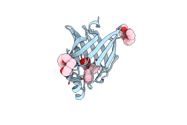 7X50 image