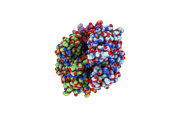 7X55 image