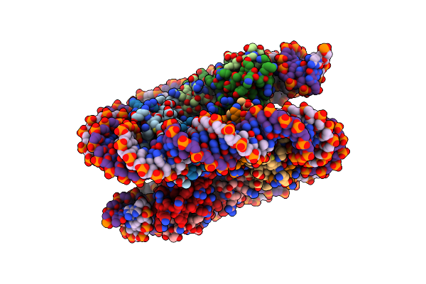 7X58 image