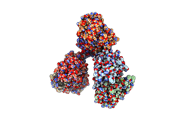 7X5J image