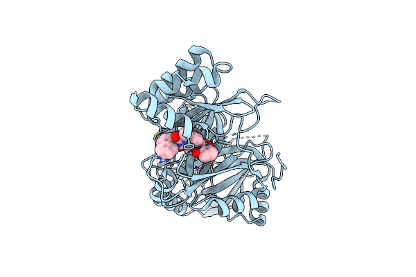 7X5W image
