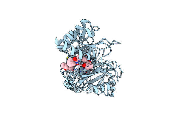 7X62 image