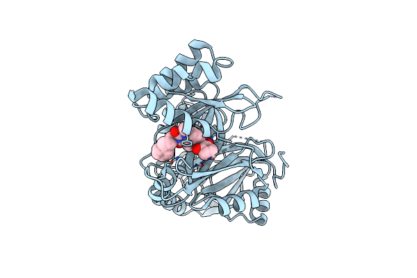 7X67 image