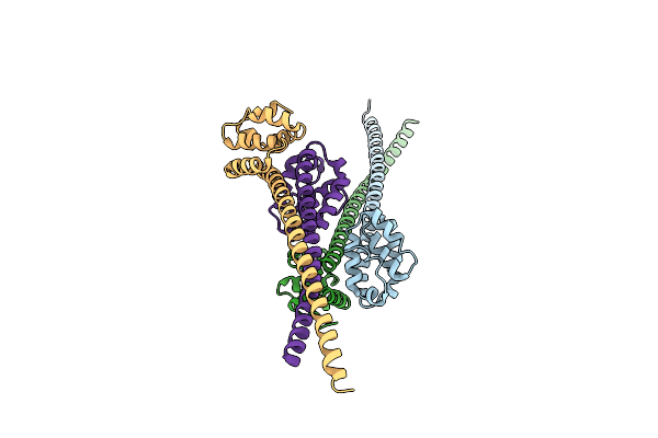 7X6H image
