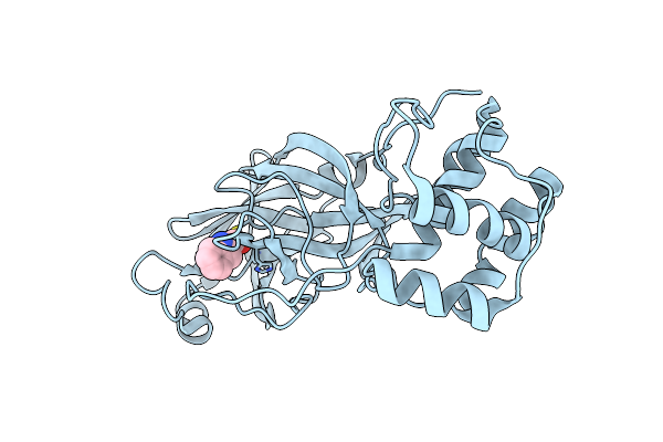 7X6K image