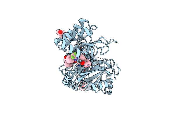 7X6M image