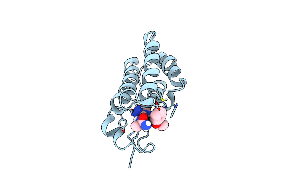 7X6T image
