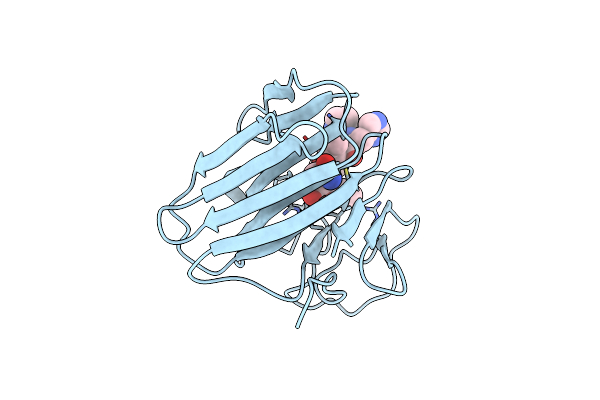 7X6Z image