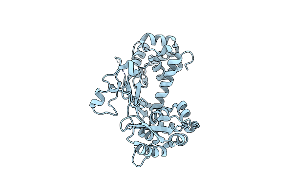 7X77 image