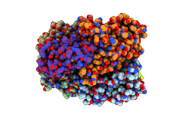 7X7D image