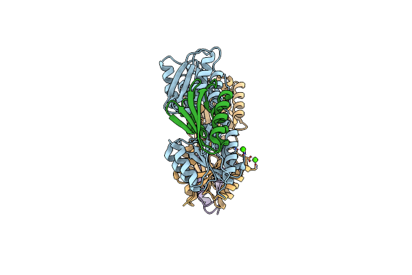 7X7H image