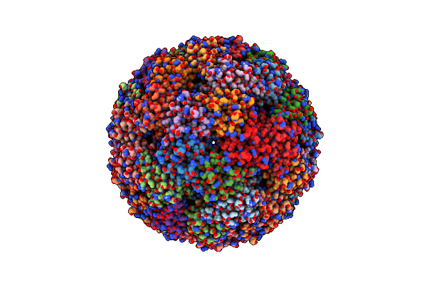 7X7M image