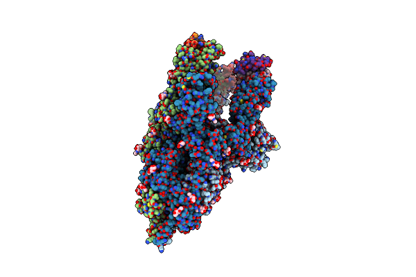 7X7N image