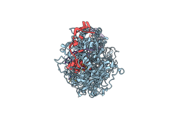 7X7R image