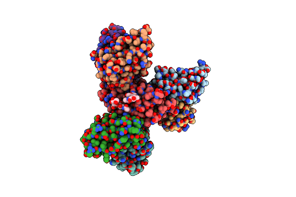 7X7V image