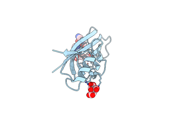 7X88 image