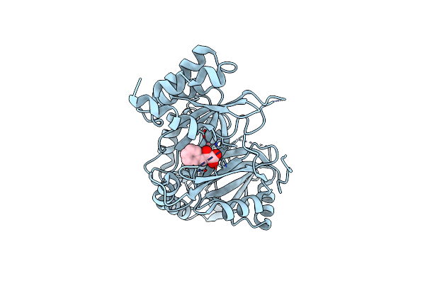 7X8D image