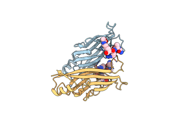 7X8G image