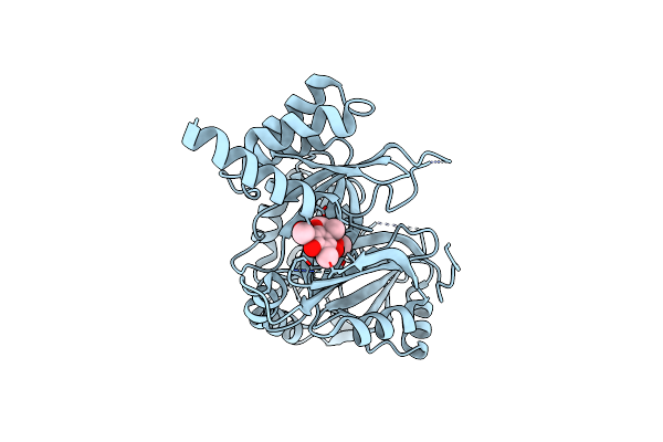 7X8H image