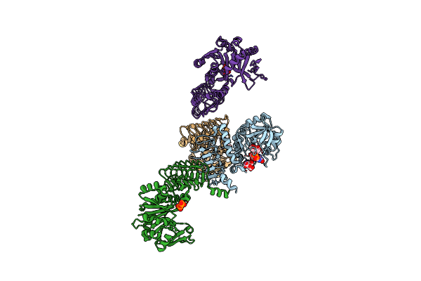 7X8K image