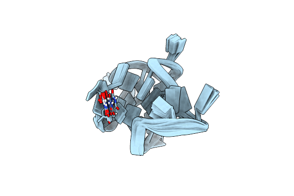 7X8N image
