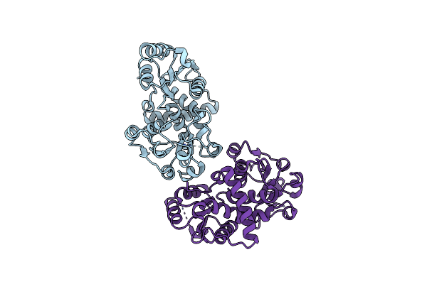 7X99 image