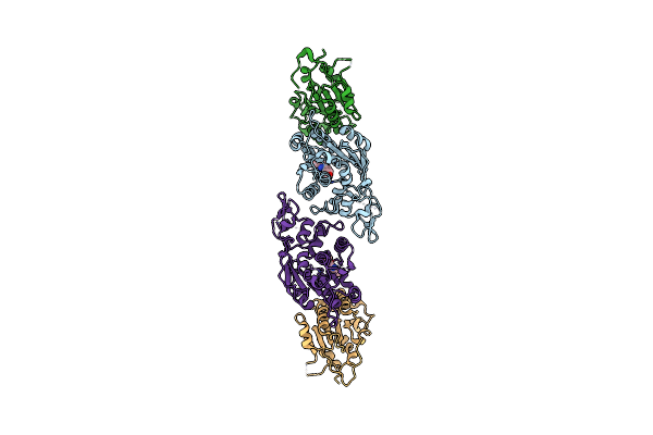 7X9D image