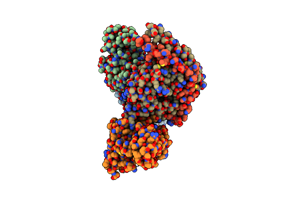 7XAV image