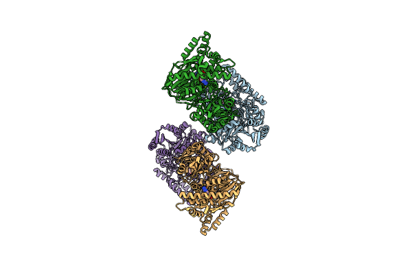 7XB6 image